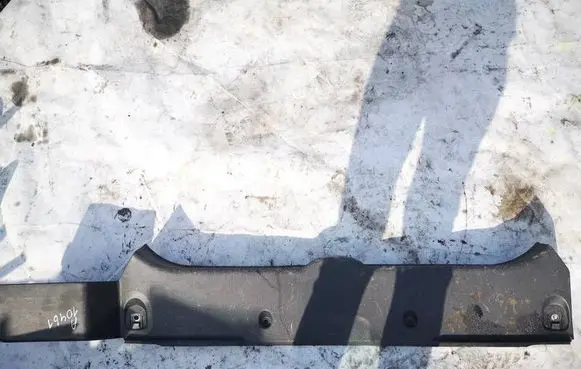 Renault Laguna II Other trunk/boot trim element 8200102660
