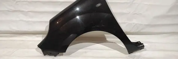 Renault Kangoo II Fender