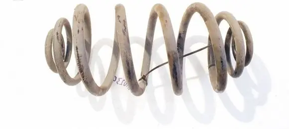 Rear coil spring