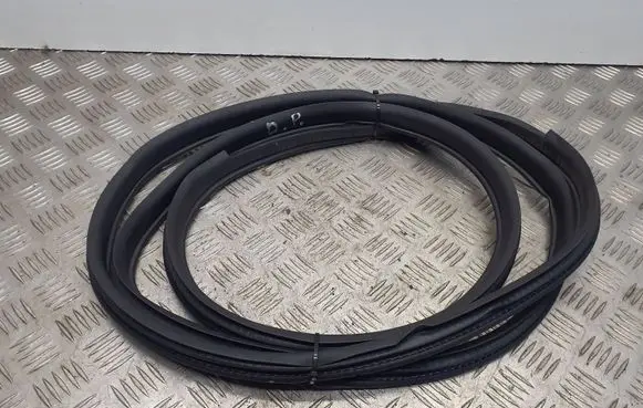 Nissan Qashqai Front door rubber seal