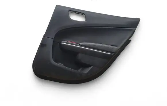 Dodge Charger Rear door card panel trim