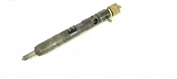 Renault Kangoo I Fuel injector EJBR01401Z