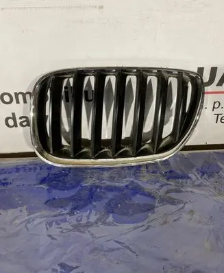 BMW X5 E53 Front bumper upper radiator grill 51137113737
