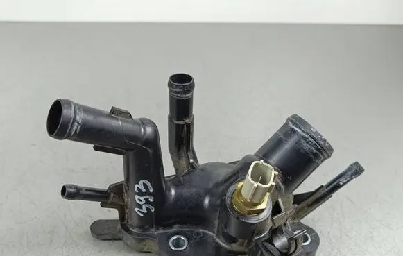 Thermostat/thermostat housing