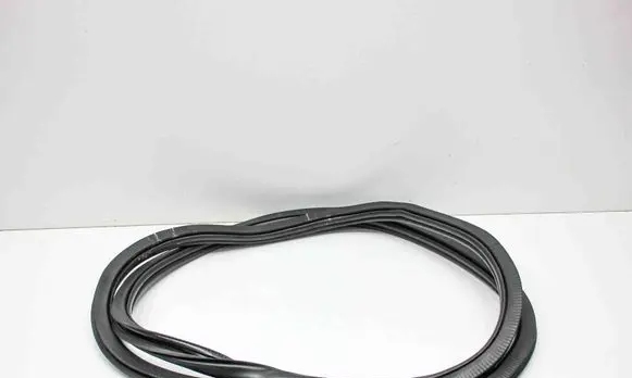 Cupra Born Rubber seal rear door 10A867913D