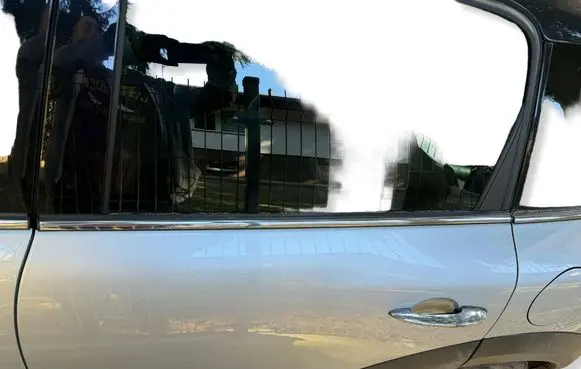 Mini Cooper Countryman R60 Rear door 