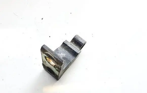 Skoda Yeti (5L) Rear door lower hinge 8k0831401a