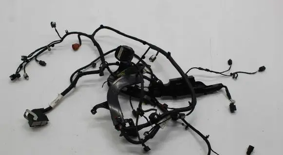Ford Ecosport Other wiring loom GN1T12C508BD