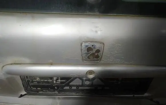 Peugeot 406 Trunk door license plate light bar 