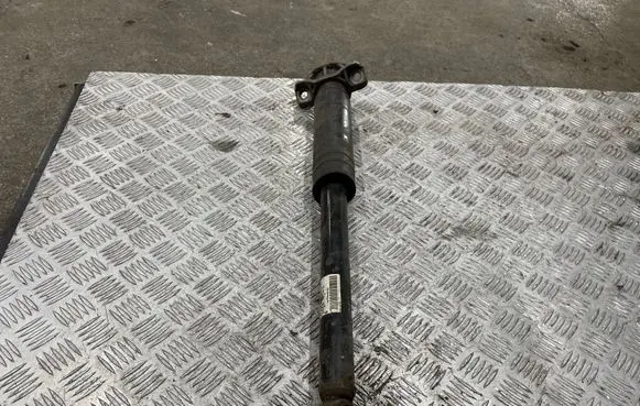 Opel Astra J Rear shock absorber/damper 13412741