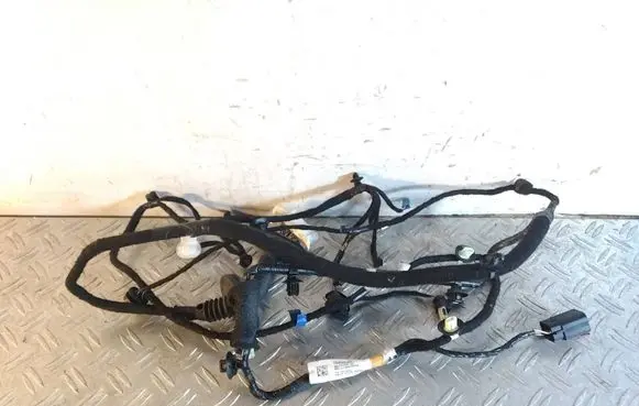 Tesla Model Y Rear door wiring loom 148905300E