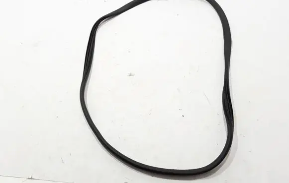 Renault Zoe Rear door rubber seal (on body) 769232904R