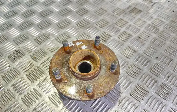 Suzuki Grand Vitara II Rear wheel hub