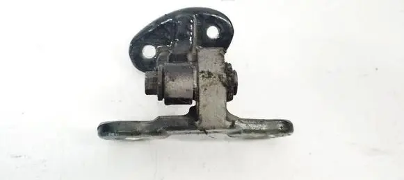 Volvo S40 Rear door lower hinge