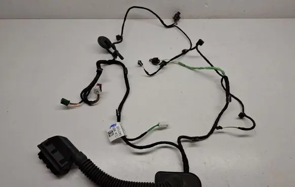 Mercedes-Benz CLS W257 Rear door wiring loom 2575407101 A2575407101