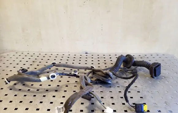 Renault Scenic III - Grand scenic III Front door wiring loom 241243402R 3720461