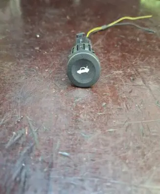 Tailgate opening switch