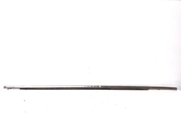 Hyundai Santa Fe Front door glass trim molding 