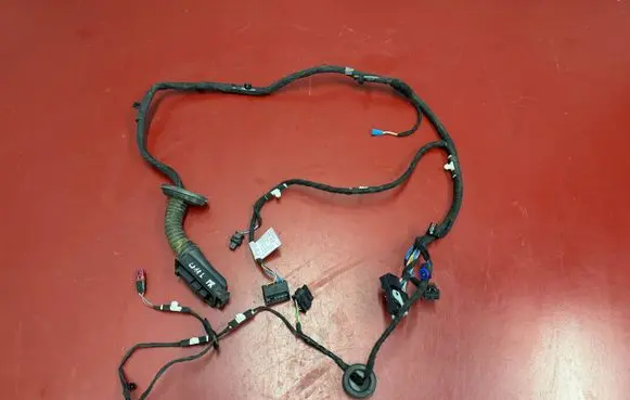 BMW X1 U11 Front door wiring loom 5B32190 5B32194