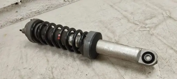 Mercedes-Benz AMG GT R190 C190 Rear shock absorber with coil spring A1903205900