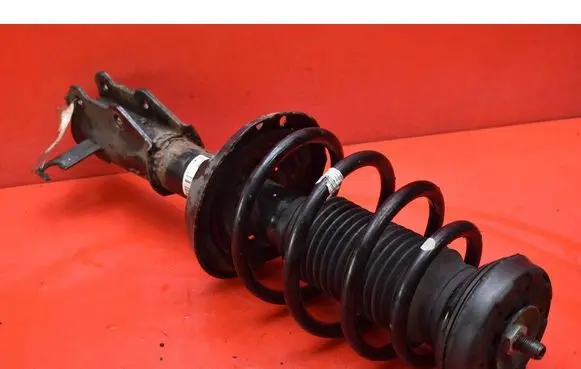 Opel Insignia A Front shock absorber/damper 13245967