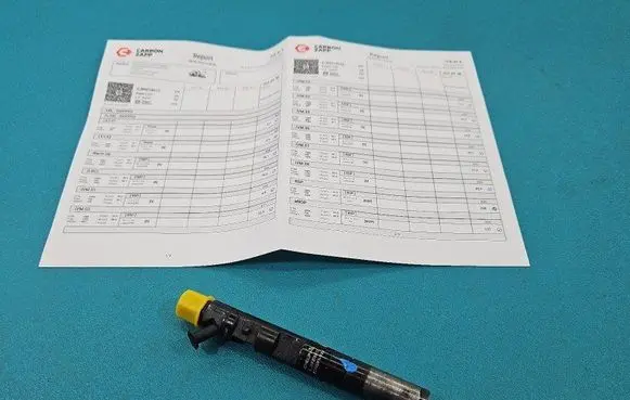 Nissan Almera N16 Fuel injector EJBR01801Z IMPRK1497764
