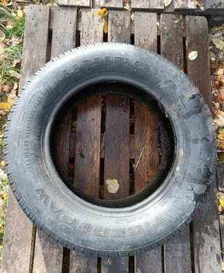 Dodge RAM 1500 DS R16 summer tire TIGERPAW