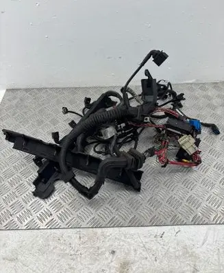 BMW 7 E65 E66 Engine installation wiring loom 7788870