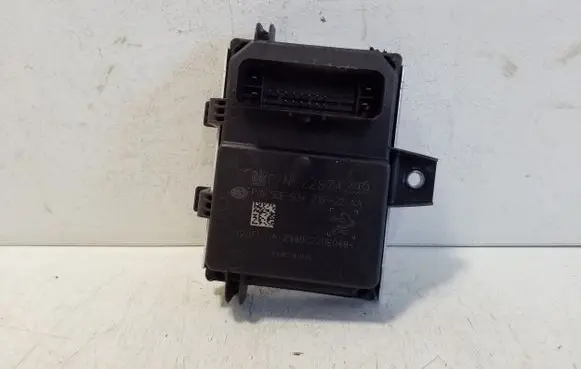 Opel Ampera Fuel injection pump control unit/module 22874299
