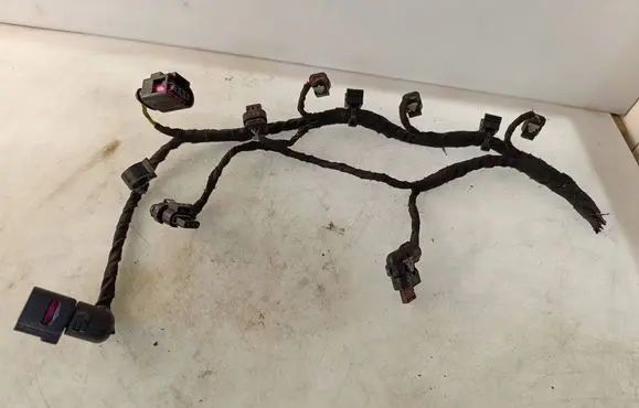 Other wiring loom