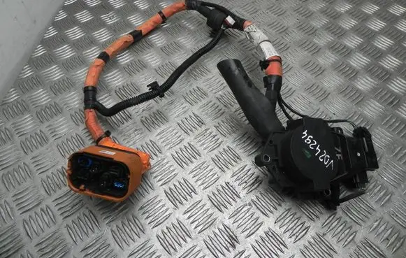 Renault Zoe Other wiring loom 29695307R