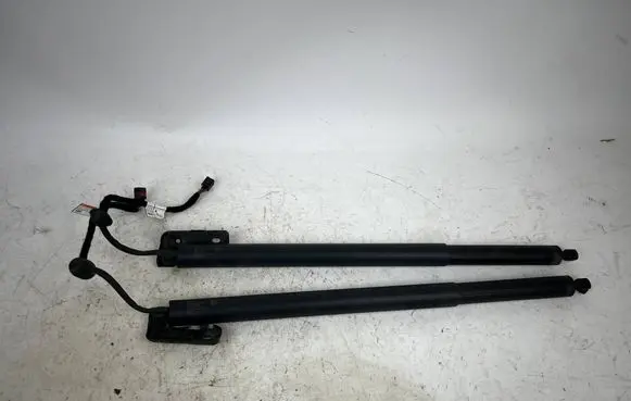 Alfa Romeo Stelvio Tailgate strut 505603960