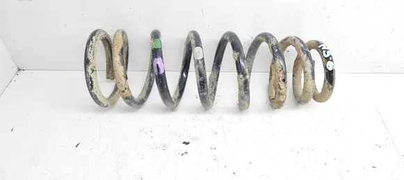 Hyundai Sonata Rear coil spring