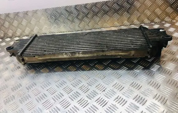 Renault Trafic II (X83) Intercooler radiator 868926QH
