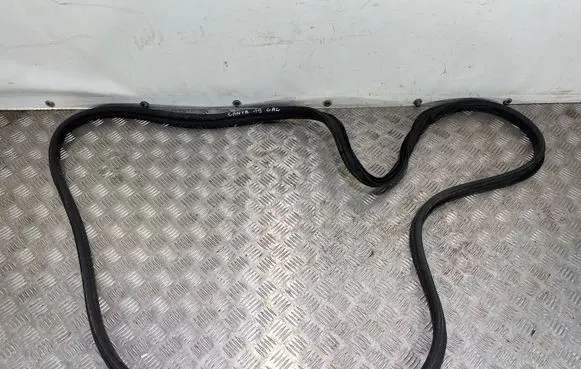 Hyundai Santa Fe Trunk rubber seal (body) 