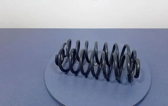 Toyota Camry Rear coil spring 