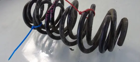 Toyota Urban Cruiser (XP110) Rear coil spring