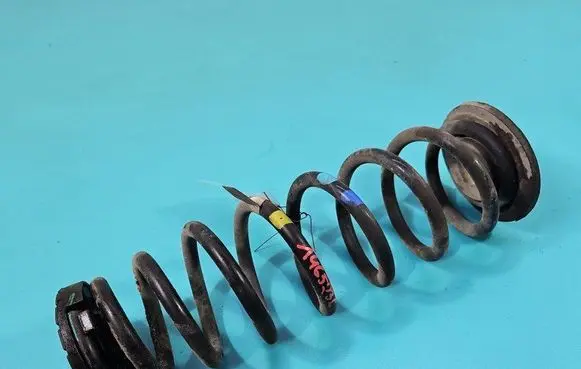 Rear coil spring