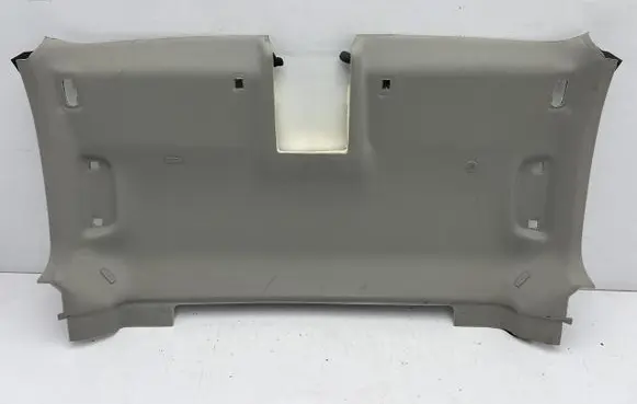 Ford Transit Custom II Headlining PZ31B52044AR