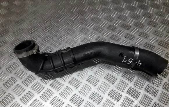 Peugeot 406 Intercooler hose/pipe