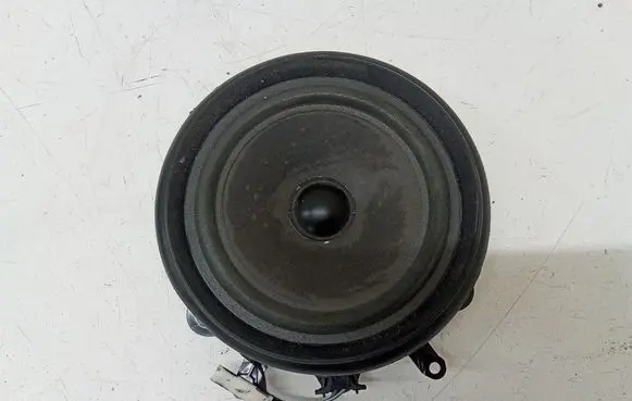 Front door speaker