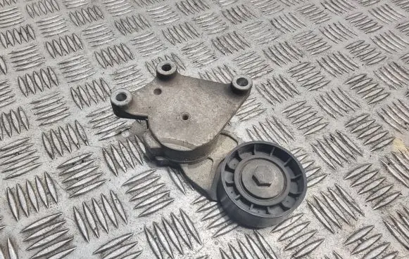 Citroen C3 Picasso Generator/alternator belt tensioner 1fl1tf049f