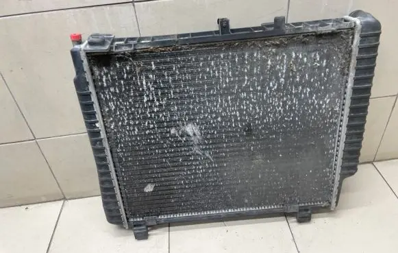 Mercedes-Benz C W202 Coolant radiator 2025003503