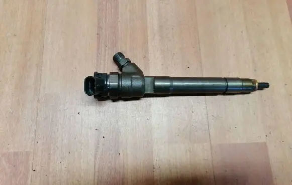 Renault Espace V (RFC) Fuel injector 0445110569 166000804R 95518001