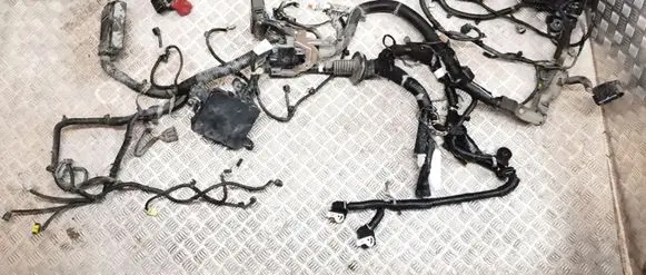 Nissan Leaf I (ZE0) Engine installation wiring loom 240123NL0B