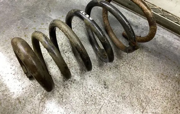Rear coil spring