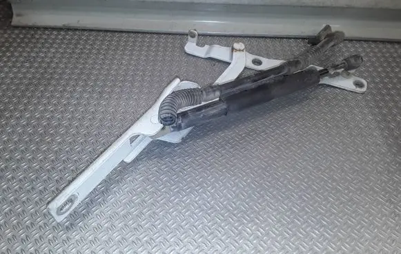 Hyundai Sonata Tailgate/trunk/boot hinge 