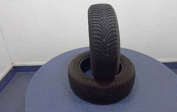 Citroen C3 R17 C winter tire 4038526455505