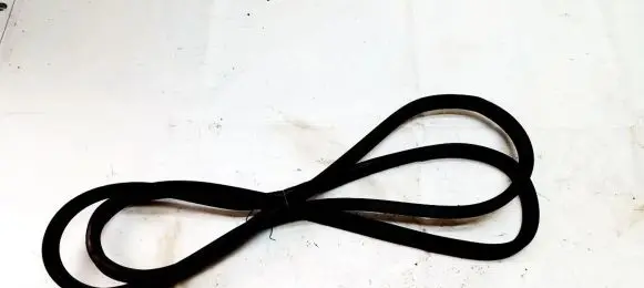 Nissan Juke I F15 Rubber seal front coupe door 