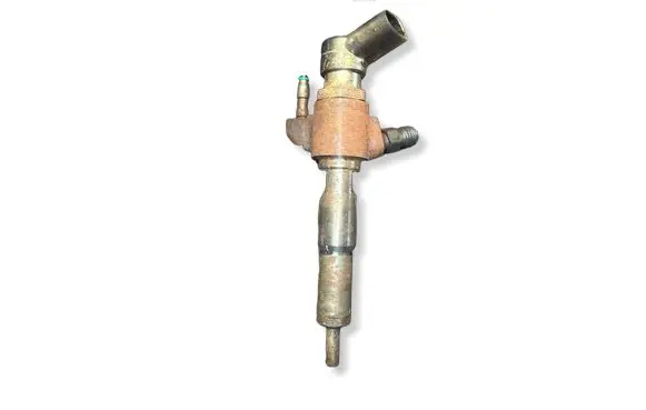 Citroen C4 II Picasso Fuel injector 9802448680